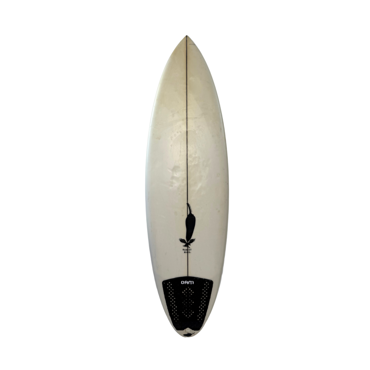 Chilli Rarest Bird 5’10 White